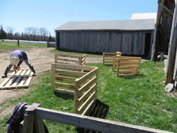 sheep mentorship participant building gate